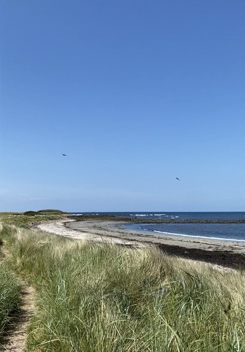 dunbargolfclub's tweet photo. A stunning #sunnydunny day! ☀️🏴󠁧󠁢󠁳󠁣󠁴󠁿⛳️ https://t.co/QxjKZYqIvJ