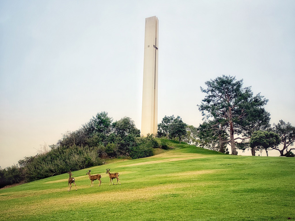 PepperdineIT's tweet photo. https://t.co/ShXHqOO35R