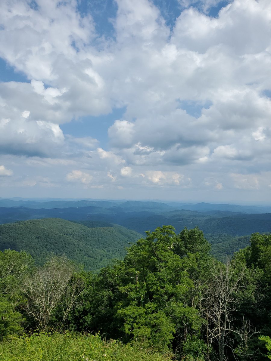 HighCountry365's tweet photo. The mountains are cool and all, but have you heard about our promotion?🧐
Send in pics of you using your HIgh COuntry passes to receie a FREE 2021-22 Avery/Watauga dining pass 
Use #hc365bogo to be recognized on Instagram and Facebook https://t.co/Fzcv903aDQ