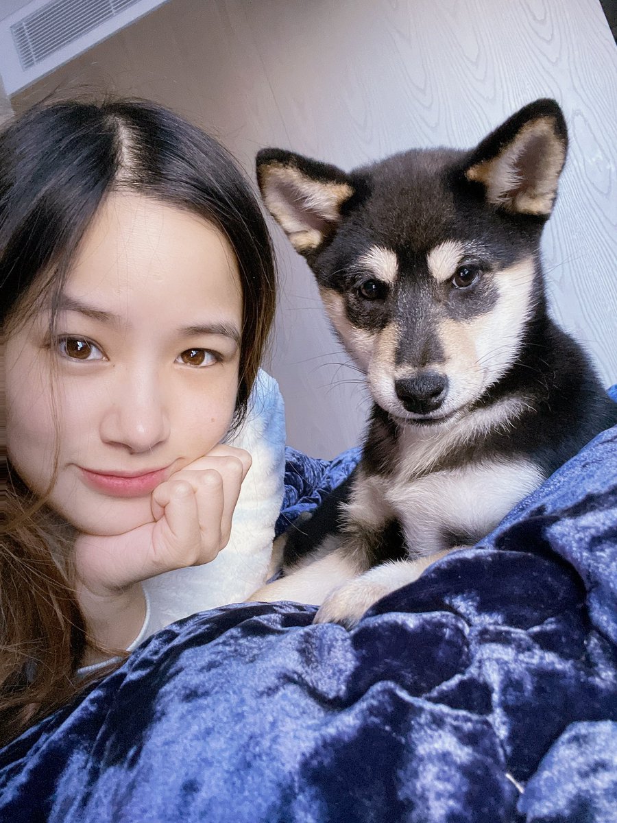 kimdaoblog's tweet photo. Haven’t been on Twitter because of this little one. She came into our family about 6 weeks ago, she is a very good girl. https://t.co/lcOiojPsV5