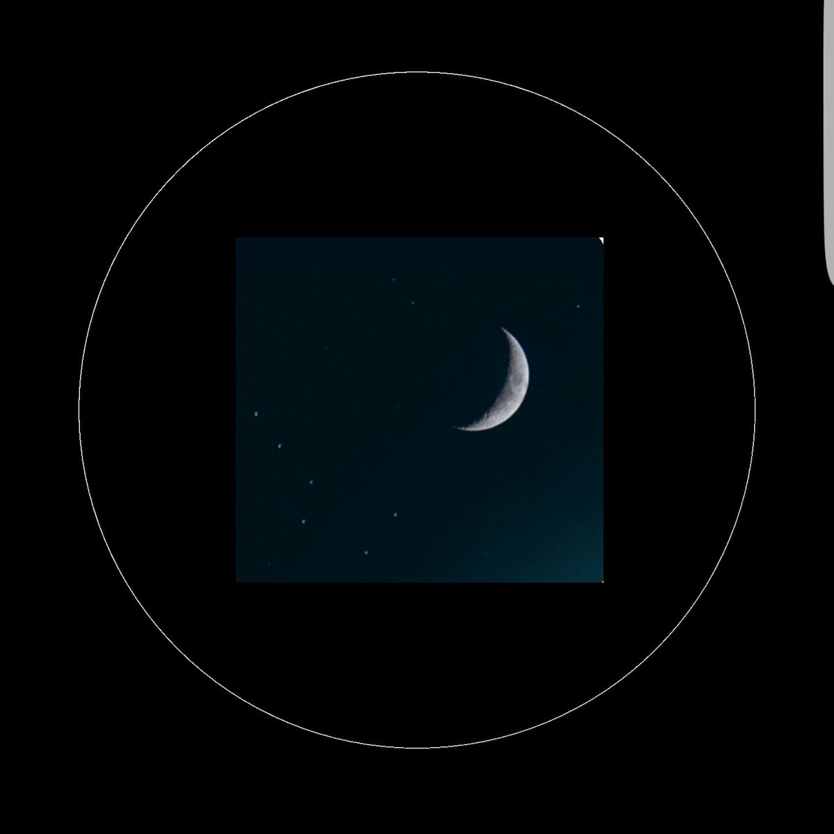 JMdimuni's tweet image. #NewProfilePic