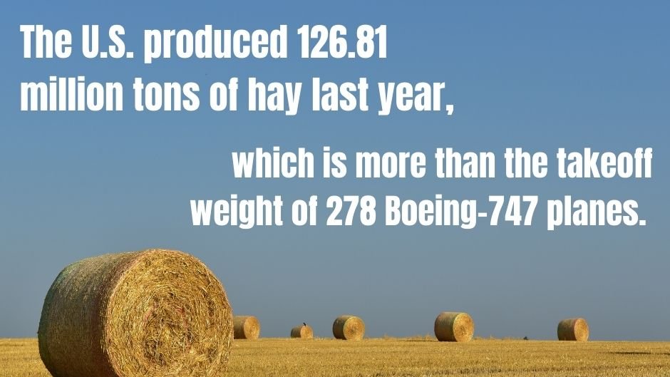 ProHarvestSeeds's tweet photo. #NationalForageWeek https://t.co/bpdfEqv6BX