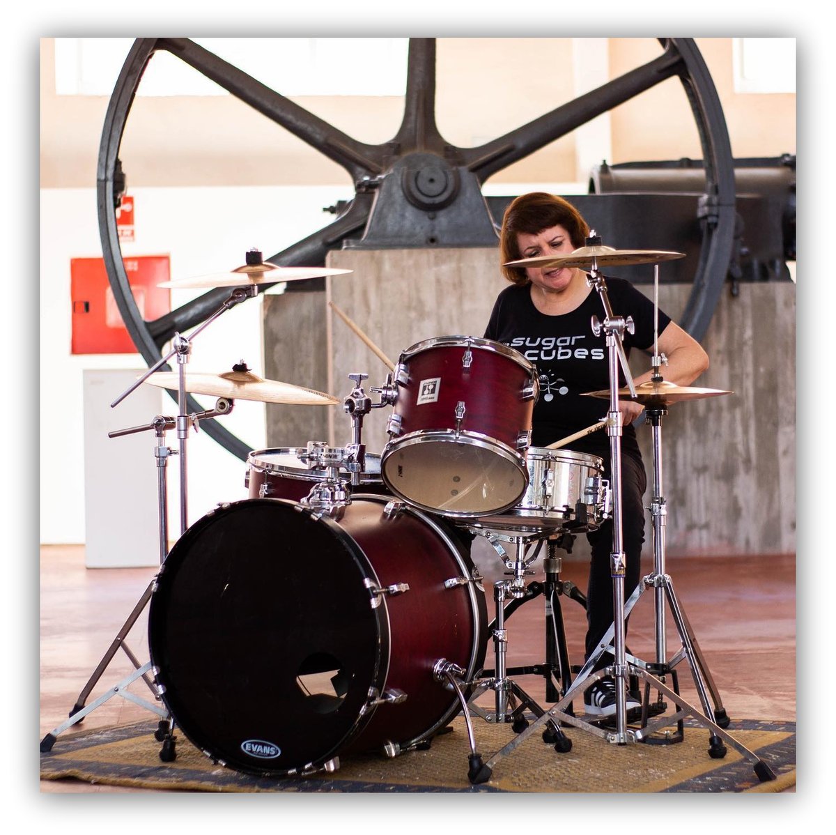 <a href="/Scandinavia_pop/">Scandinavia</a> "Hoy has vuelto a nacer"
<a href="/DeliaDrums/">Delia GM</a> ejerce las percusiones en esta banda malagueña tan especial, indie sin concesiones en la colección
#CanCIOnESCOnTRaelCánCER 💗
Música e info en el Bandcamp de <a href="/mirolloes/">MiRollo</a>👇
mirollo.bandcamp.com/track/scandina…