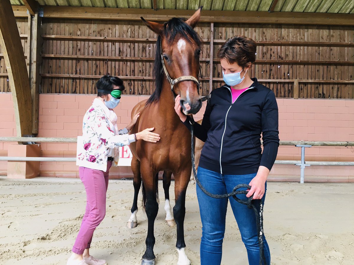 FEHAP_CentreVDL tweet media