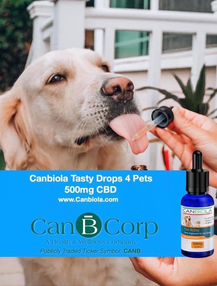 colloidal silver cushing's disease