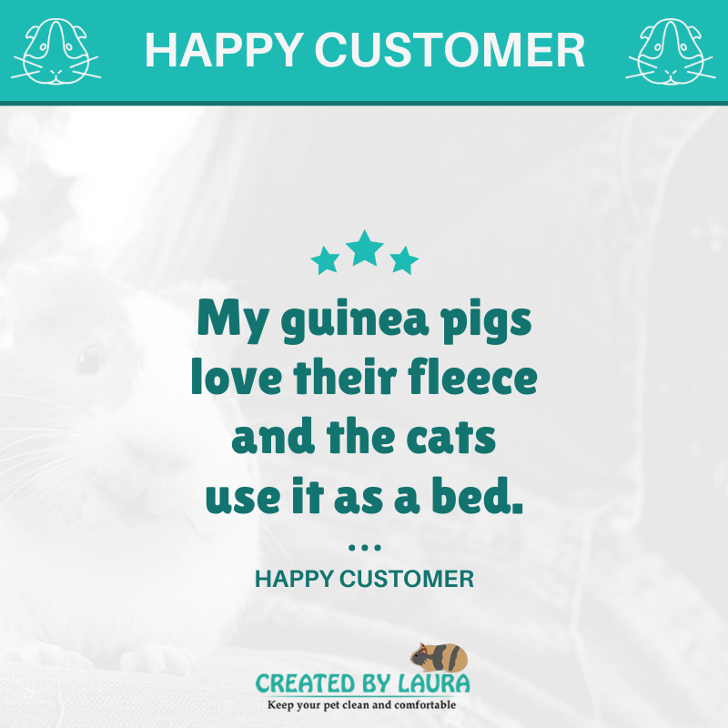 Your guinea pig deserves love and comfort! ⭐⭐⭐⭐⭐