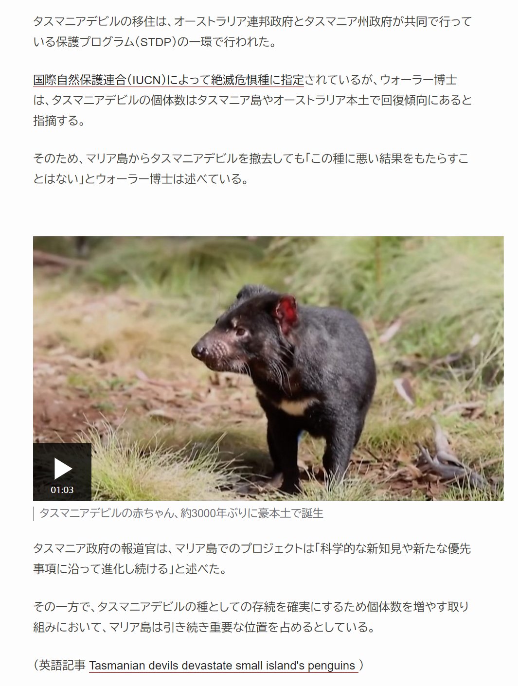 טוויטר Sak בטוויטר タスマニアデビルを移住させ 島内のペンギン全滅 豪自然保護団体が指摘 T Co Kpam0e4sv2 マリア島 12年に タスマニアデビルに絶滅の危機をもたらしていた顔のがんから守るため 数頭の タスマニアデビルを保護し 島に移住させ