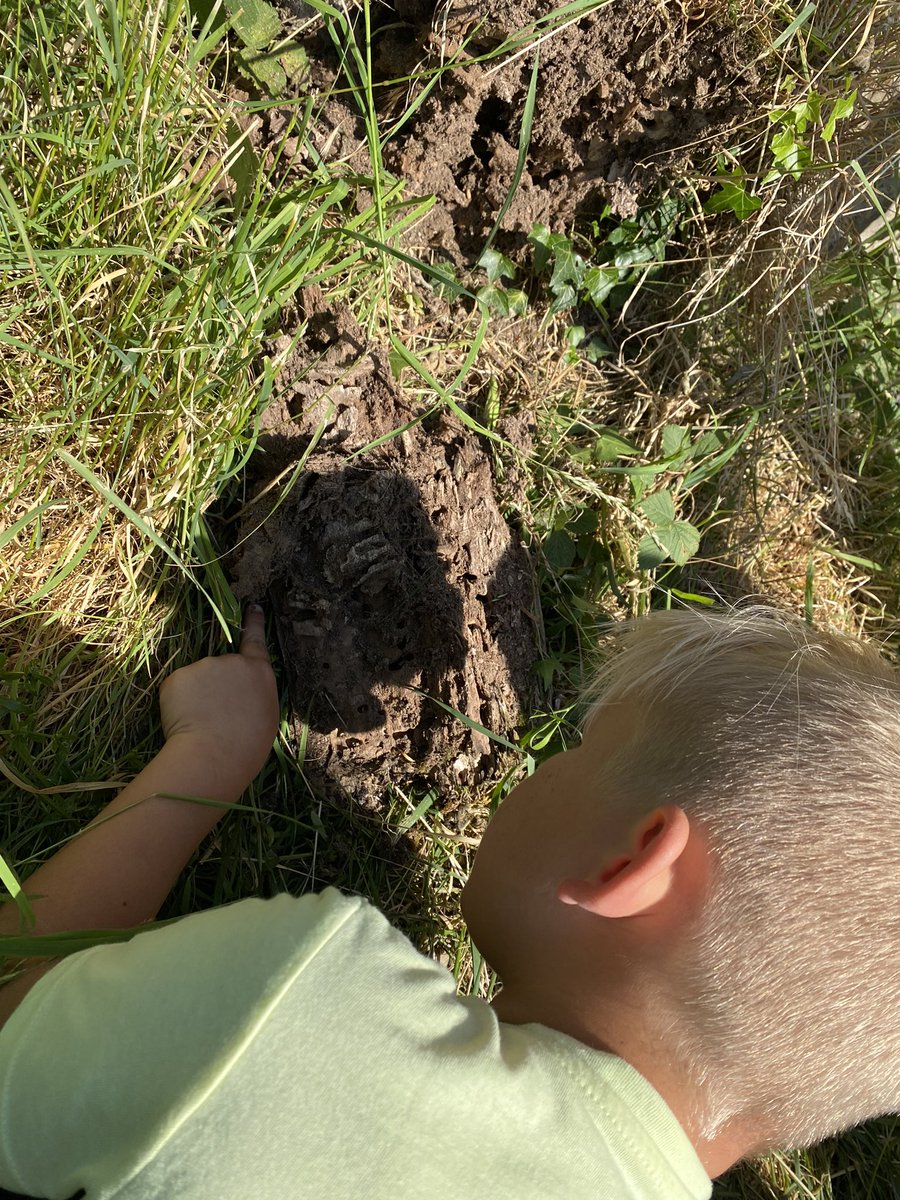 MissRenwickBPS's tweet photo. It was wonderful to explore part of our local community today! P2 loved visiting the Orchard and spotting different flowers, fruit trees and bug houses 🌸🐜 P2 listened carefully to instructions, were sensible when crossing roads and tidied up after themselves! #proudteacher 🤩☀️ https://t.co/TjZ3iz6JBa