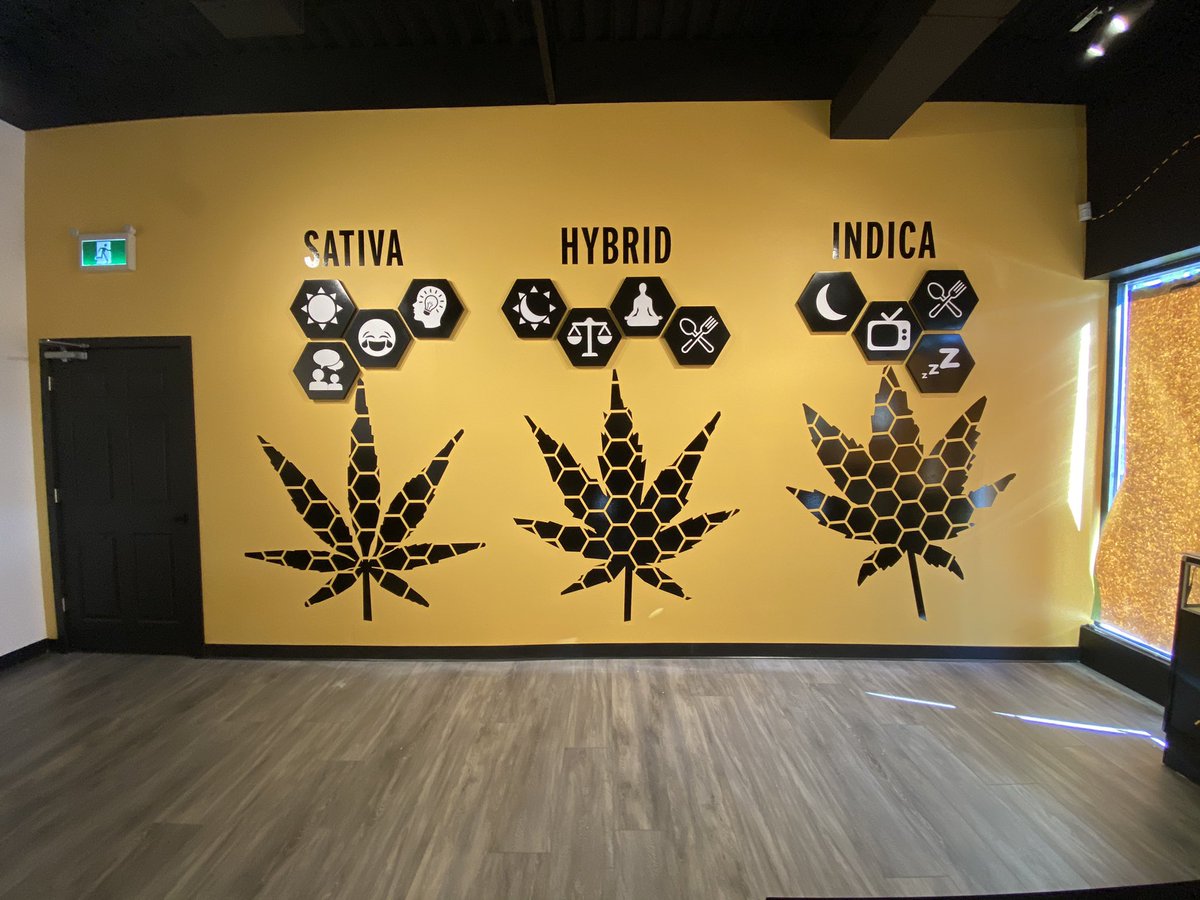 Smartlinkus's tweet photo. Just completed our second store for Buzzed Buds this is the new Pickering location. https://t.co/q3TH64ALEP