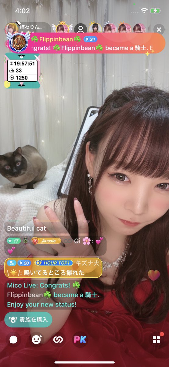 ぽわりん Popiwasurin Twitter