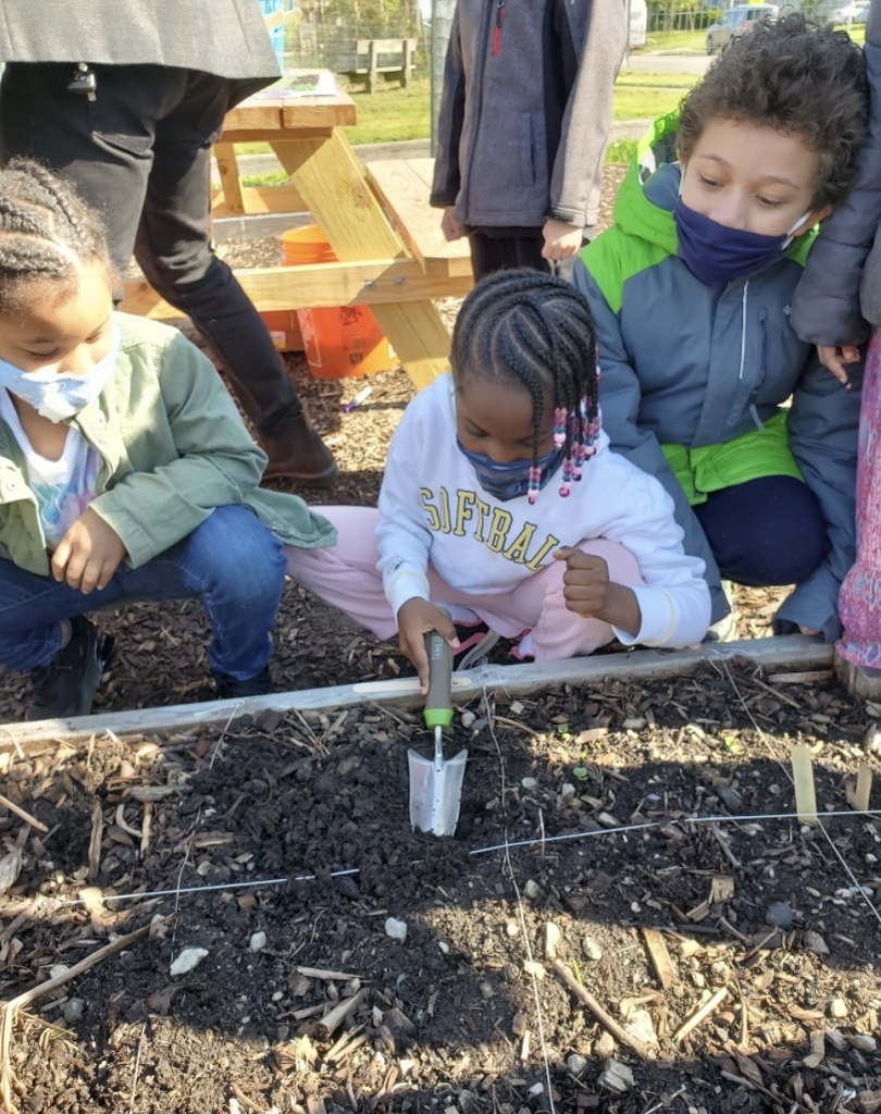 CHUHSchools's tweet photo. Fairfax Elementary School officially unveils the long awaited student garden. >> https://t.co/eJdcH8QY4o https://t.co/6UjR35TGEN