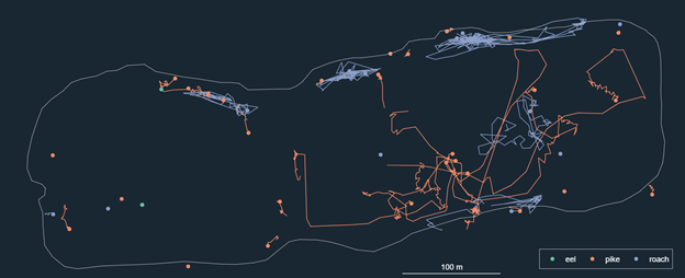 Our real-time fish tracking is now up and running. Check out where the (tagged) fish are right now  
#biologging #fishsci #animaltracking #fishtelemetry #telemetry #acoustictelemetry @ThelmaBiotel @PDJF_dk  

live.telemetry.fish