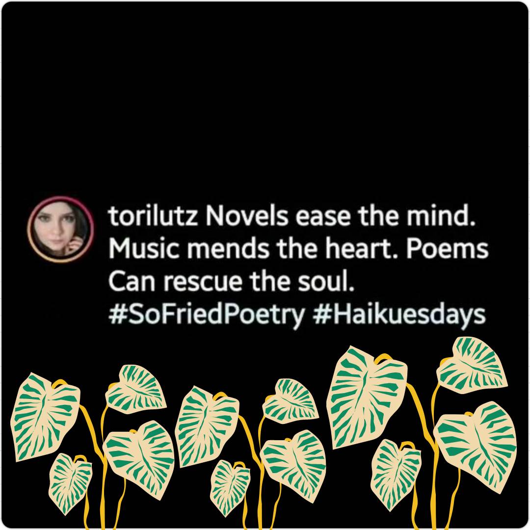 🔥 #Haikuesdays is back!
#sofriedpoetry #haiku #SOUTHERNFRIEDPOETRYSLAM #poets #poetrylovers #poems #spokenword featuring @torilutz 

tag <a href="/sofriedpoetry/">SoFriedPoetry</a> to feature your 🔥haiku