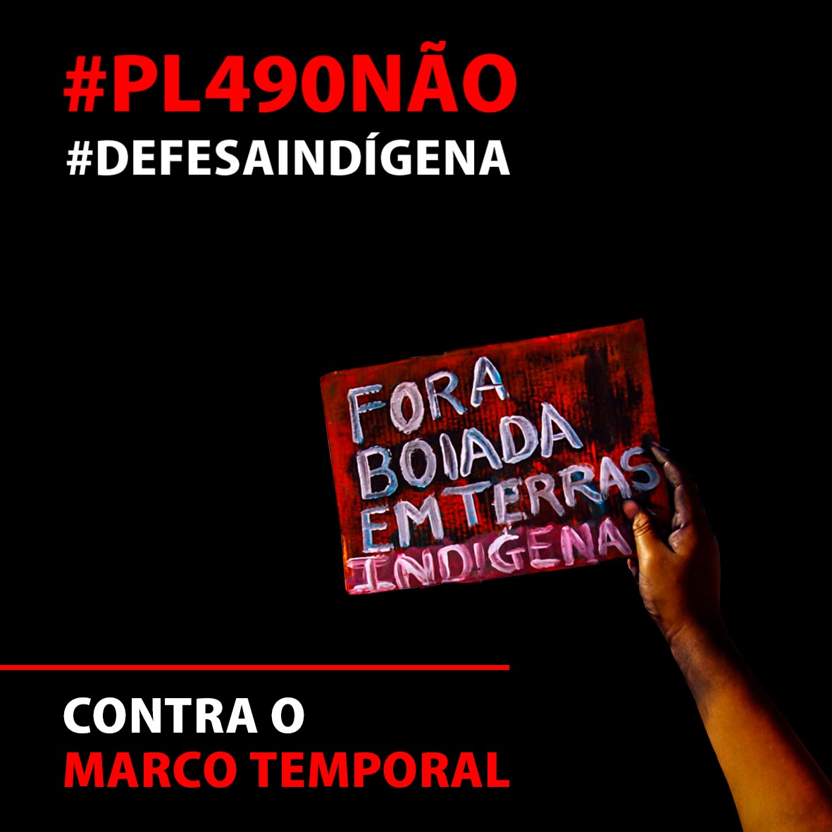 Associação Floresta Protegida tweet media