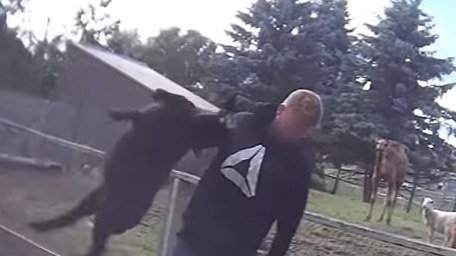 Never forget that this man abused a small lamb on camera and referred to it as 'bitch'. Papanack zoo is now open for business, and I think their Google reviews page deserves another hit. They block anyone from their Facebook page that tries to criticize them. #AnimalCruelty #zoo