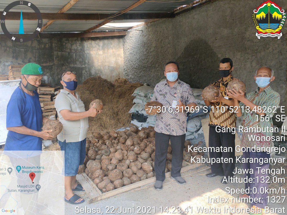 Azis56600849's tweet photo. Monitoring budidaya tanaman porang yang dilakukan anggota KTH Maju Jaya di wilayah Desa Wonosari, Kec. Gondangrejo, Kab. Karanganyar, setelah tanam kurang lebih 2 tahun hasil sangat bagus. Sementara hasil panen umbi 1 ton dan katak 8 kg.
@cdk10dlhkjateng
@ariyant51936712 https://t.co/uBf6uzBxpO