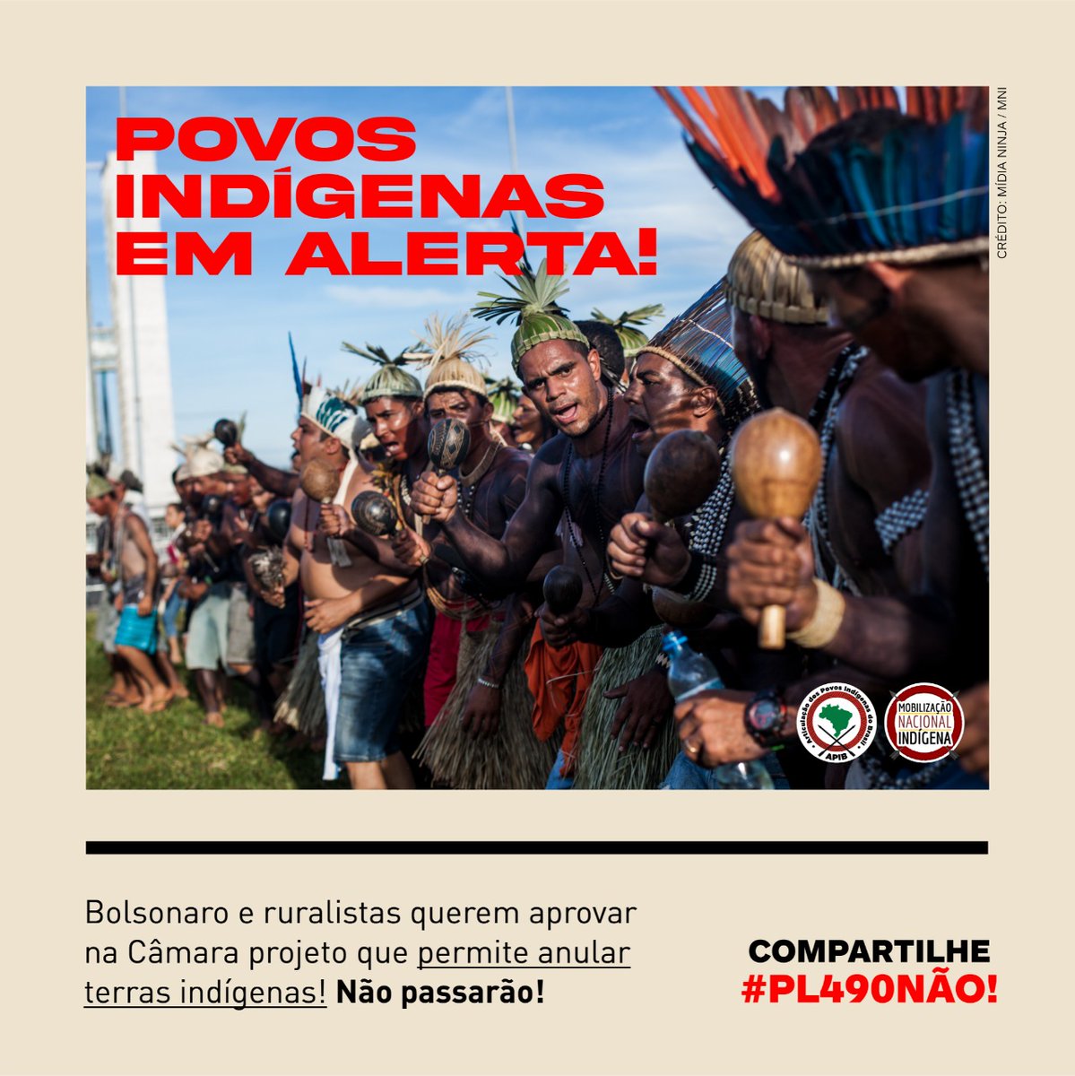 Associação Floresta Protegida tweet media