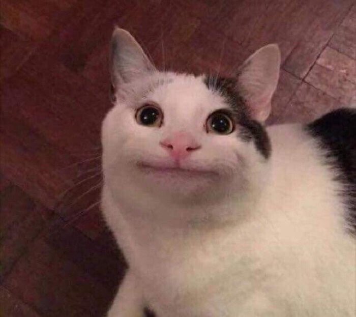 ًclosed. (@btwmelngto) on Twitter photo 