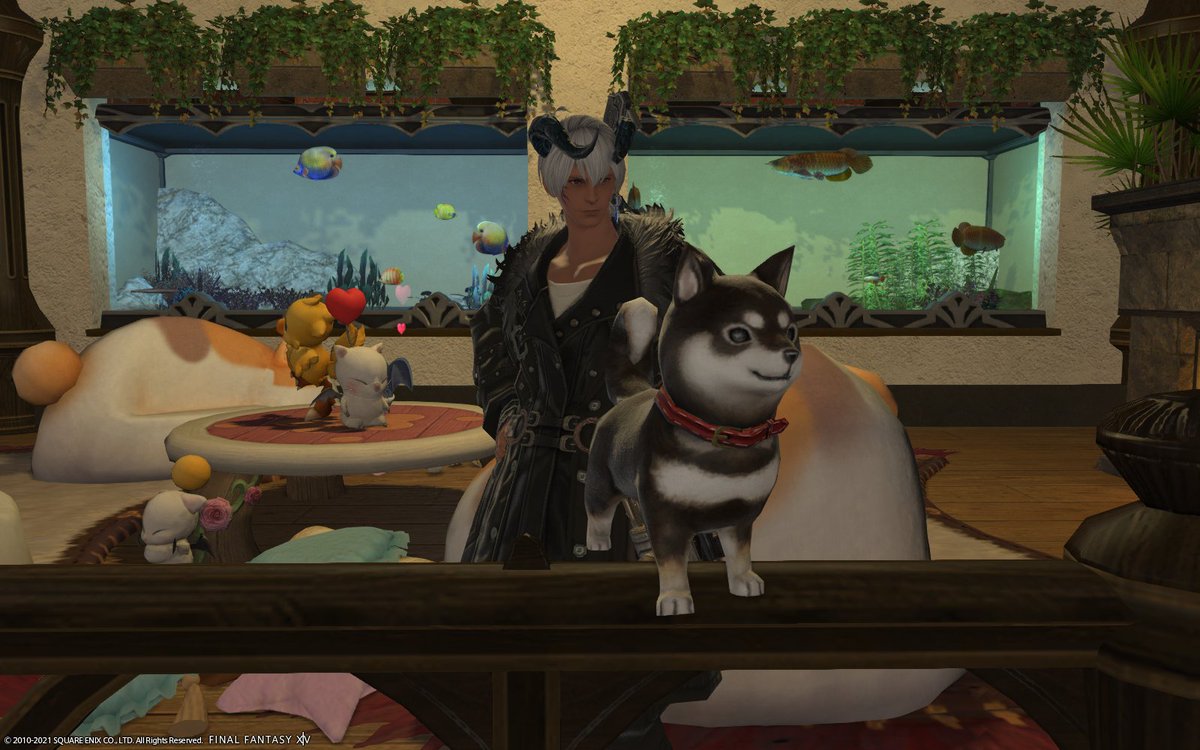Ff14まとめ 漆黒編1 Min T ミント Ff14まとめ 漆黒編1 Min T ミント