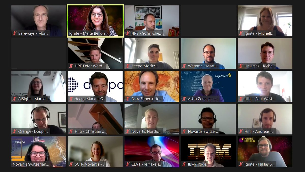 Last week we brought together 21 corporates and 78 AI startups from 🇫🇷France, 🇩🇪Germany &amp; 🇸🇪Sweden for 114 meetings during our European AI Startup Matchday!

Find out how the event went here: ignitesweden.org/european-colla…