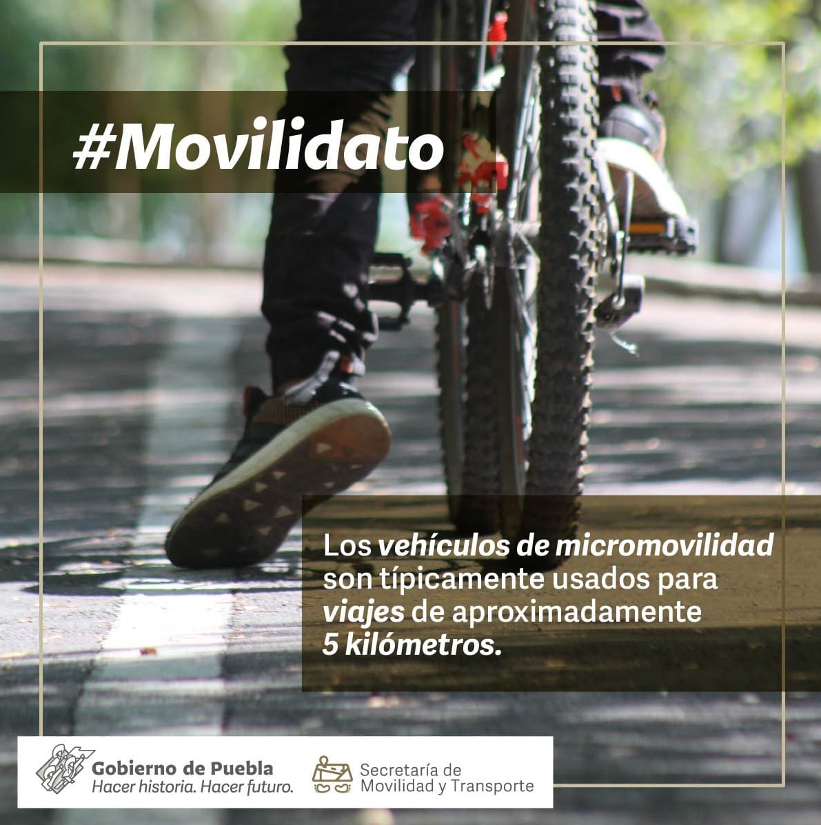 La #CulturaVial es responsabilidad de todos; por ello, foméntala en #Familia con este #Movilidato 👇🏻.