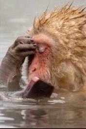 Tina Songue tweet media