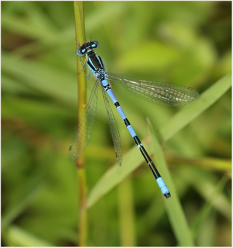 Marc Heath tweet media