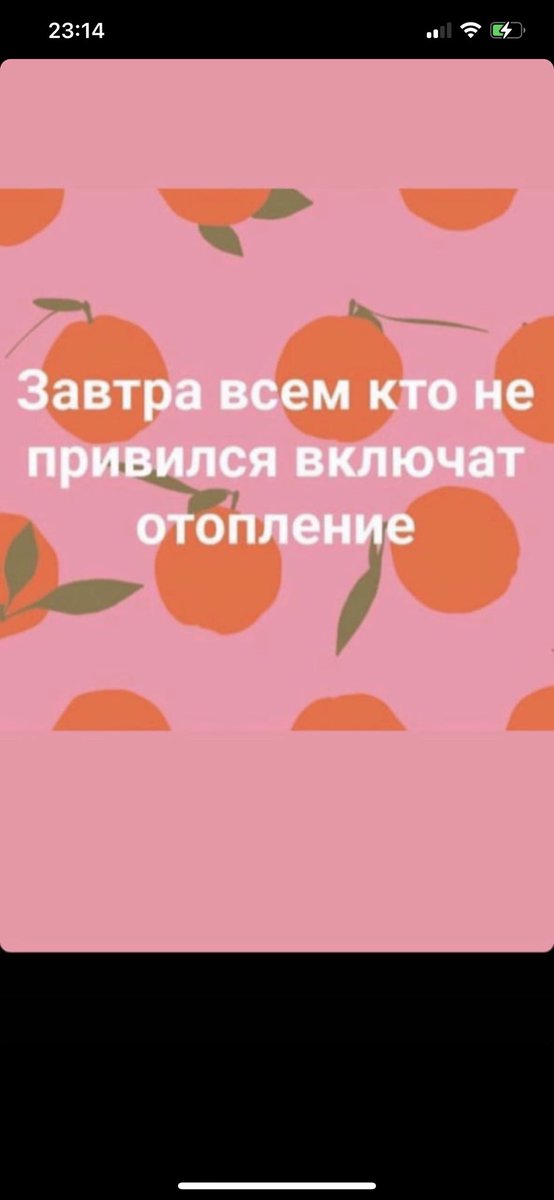 MariaNovik's tweet photo. https://t.co/BXAUWJEnlr
