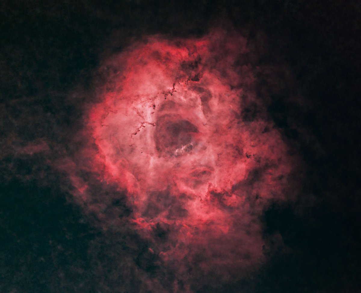 jzhnutz's tweet photo. Rosette Nebula - a reprocess of my data from January, essentially just adding some new techniques, etc. 11.5 hours of data (10.5 L-eNhanced/ 1 L-Pro) #CanonFavPic #meadeinstruments #astrophotography Meade Series 6000 80mm Triplet &amp; Canon EOS Ra https://t.co/NbrgOJJXx5