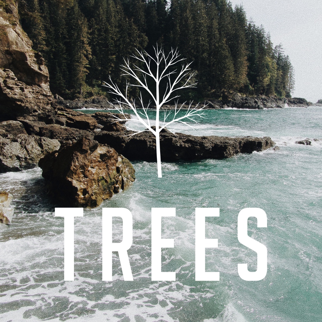 Just like a tree,
you need to nourish
to flourish 🌿

#DoWhatYouLove
#TREESCannabis