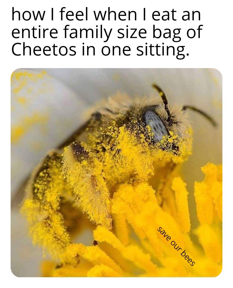 Bee Emoji 🐝 (@Bee_Emoji_) / Posts / X