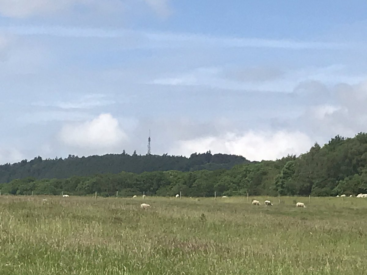 Zoe71's tweet photo. I love living in Wellington. #thewrekin #ercall #wellington #thegreatoutdoors https://t.co/4elvz4kkim