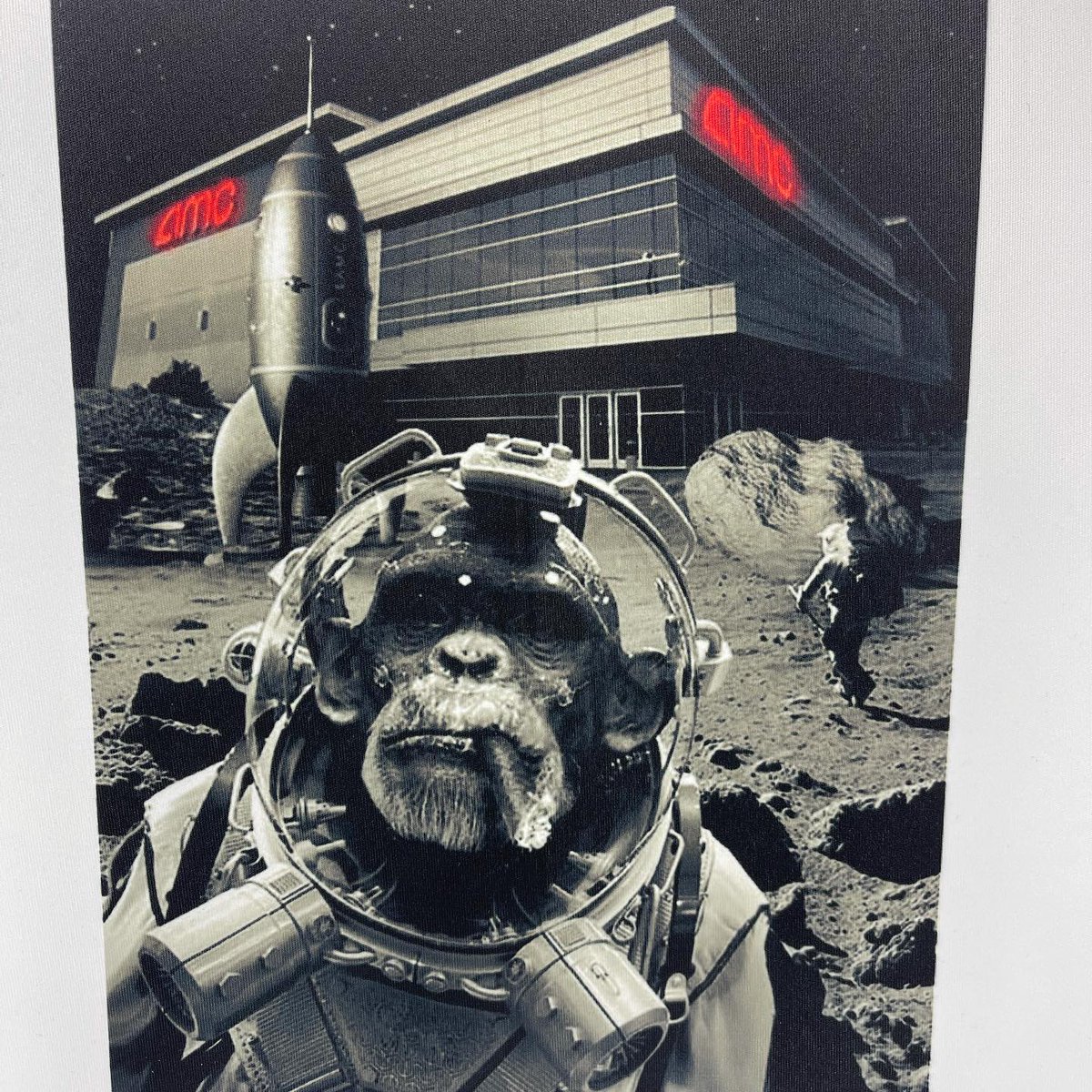 Kapimagen's tweet photo. Space Apes t-shirt. Long and short sleeve.
#tshirt #tshirts #tees #birthday  #space #apes #spaceapes #amc #stonks #diamond #hands #diamondhands #tothemoon #unique  #apearmy #amcsqueeze #amcshortsqueeze #amcstrong #amcstock #spaceape #kapimagen
https://t.co/eWw2iSfsSi https://t.co/hK2uYkk6nX