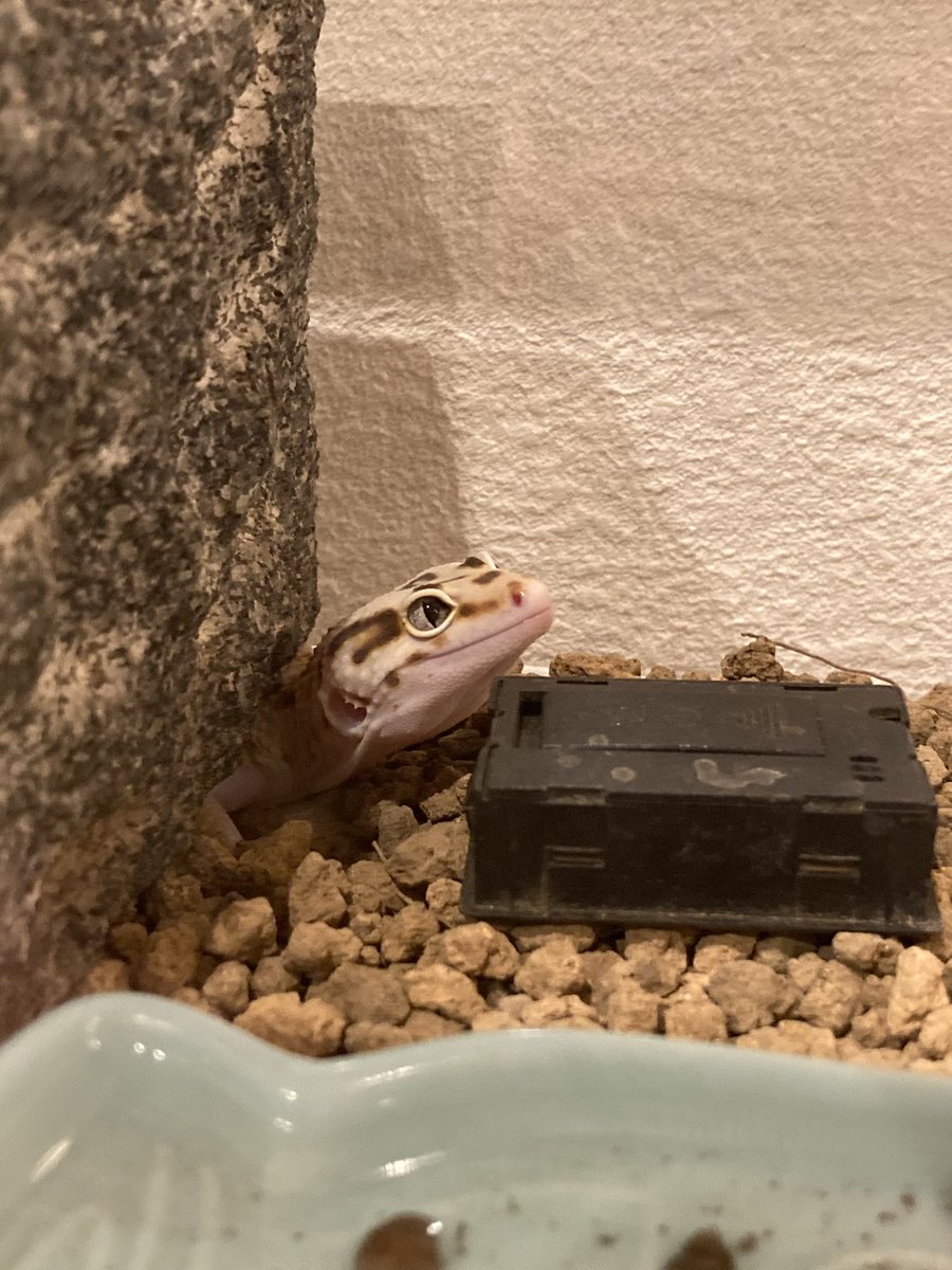 シェルター 映画 最新情報まとめ みんなの評価 レビューが見れる ナウティスモーション