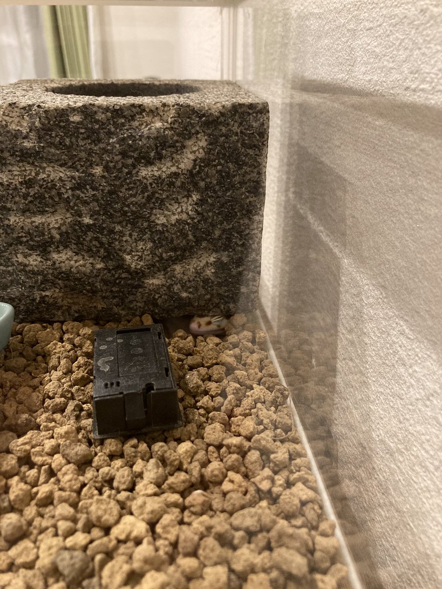 シェルター 映画 最新情報まとめ みんなの評価 レビューが見れる ナウティスモーション