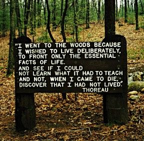 A Plan For Living on Twitter: ""I went to the woods because I wished to  live deliberately, to front only the essential facts of life, and see if I  could not learn