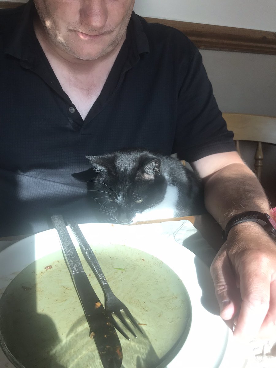 threemousekete1's tweet image. Anyone remember Spit the dog??