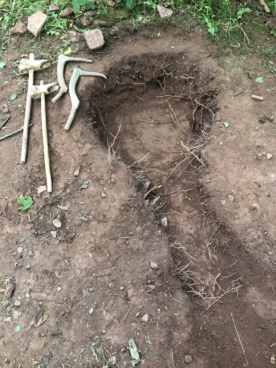 jane mason tweet media