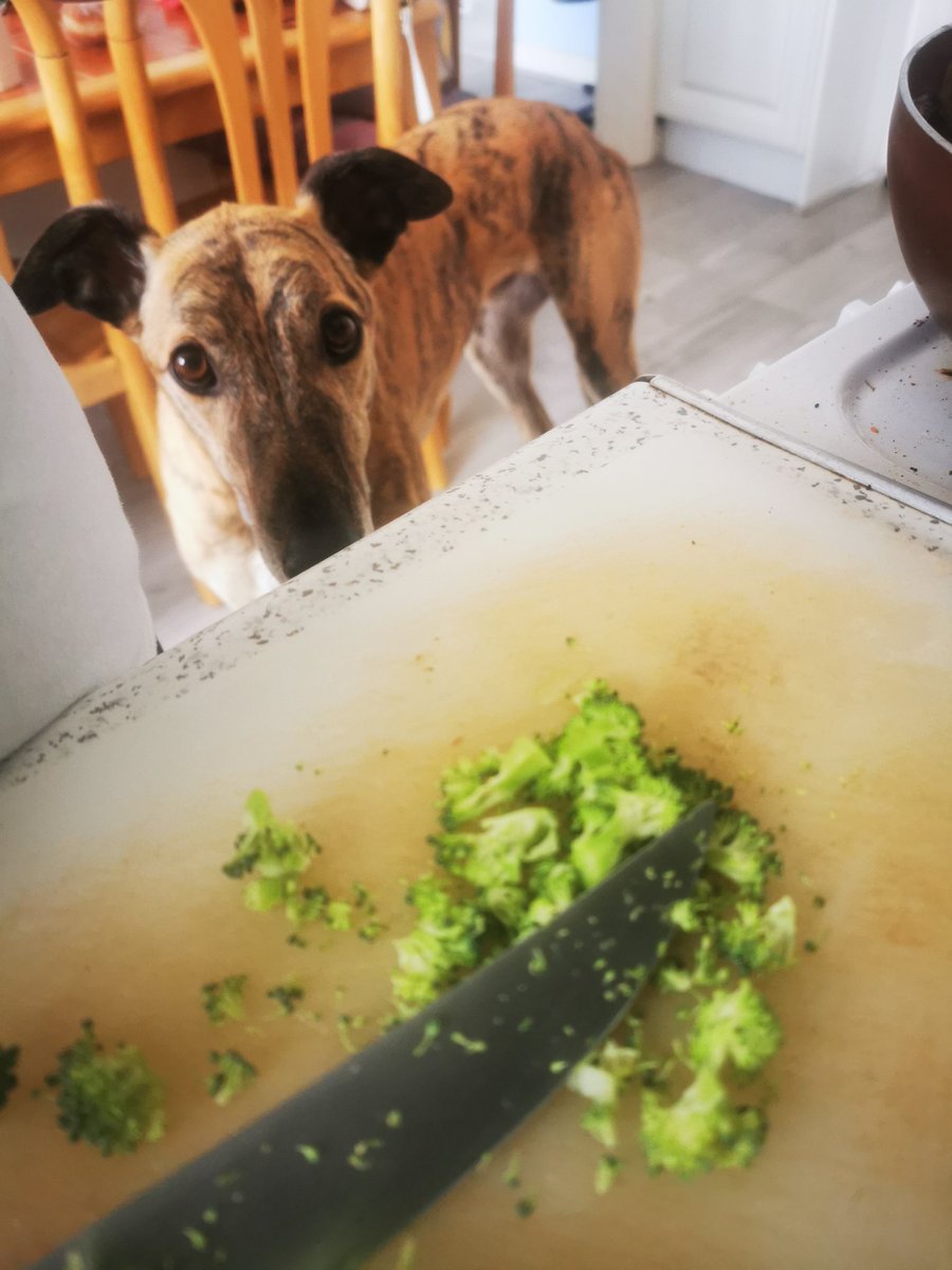 Dib the broccolilli HooMam. Yam does need mines 5 a day 🥦