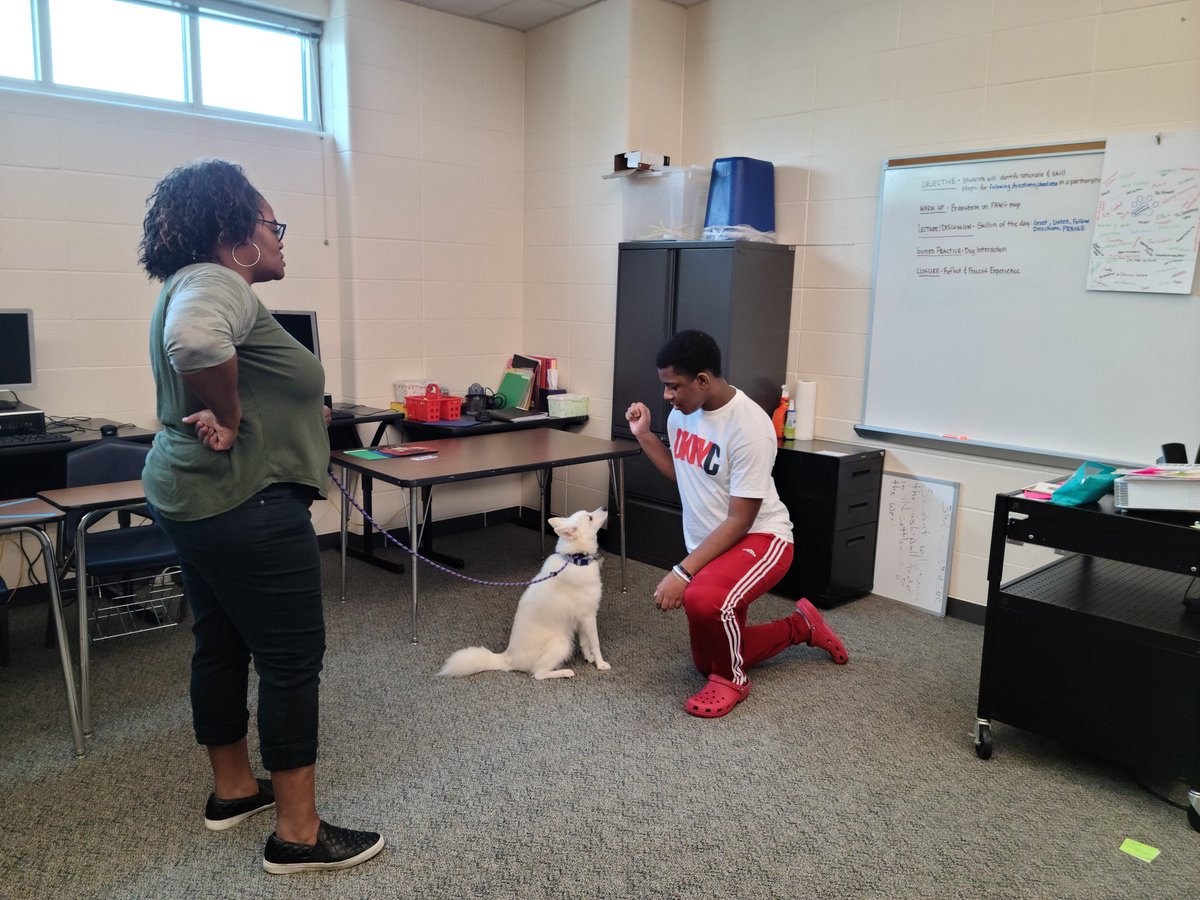 Happy summer for us! The dogs have loved working ESY with our pawtners at TEP! THANKS <a href="/LauraDWHenderso/">Laura Henderson</a> for inviting us to be part of your social skills team! #collaboration #growthmindset #dogs @kirstenallman