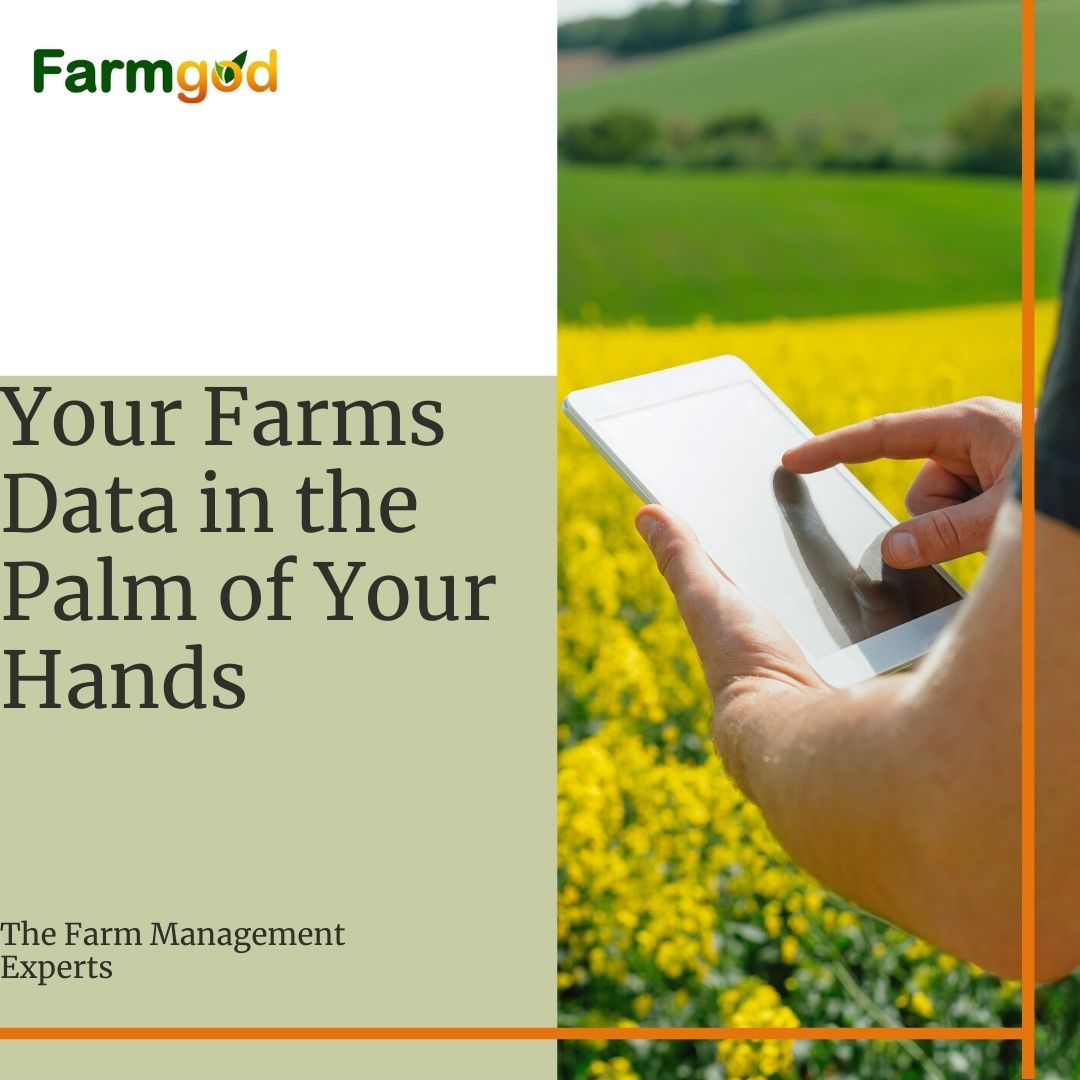 OfficialFarmgod's tweet photo. Farmgod is a #farm management software that makes it easier for you to keep track of your farm activities. Register and use Farmgod for FREE at https://t.co/fXnN7u1IOj. https://t.co/XesNMHpxIf