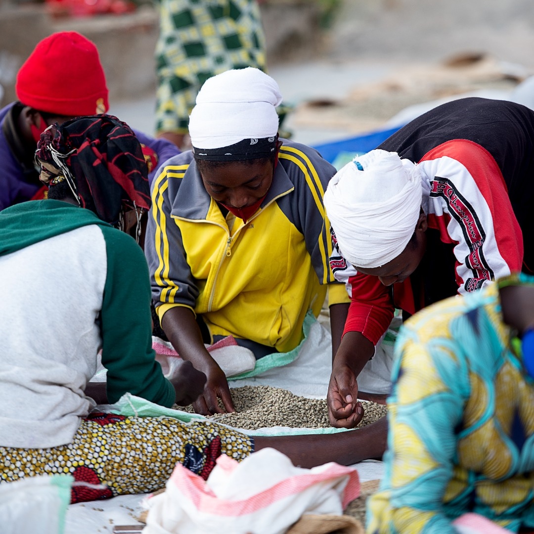 BonezaCoffee's tweet photo. Every time you buy Boneza coffee, you are contributing to the community of women based in Kinunu, Rutsiro district.
They give us the opportunity to deliver quality coffee☕

#womenempowerment #specialtycoffee #singleorigin #Bonezacoffee #madeinrwanda https://t.co/qWPVEuWuDp