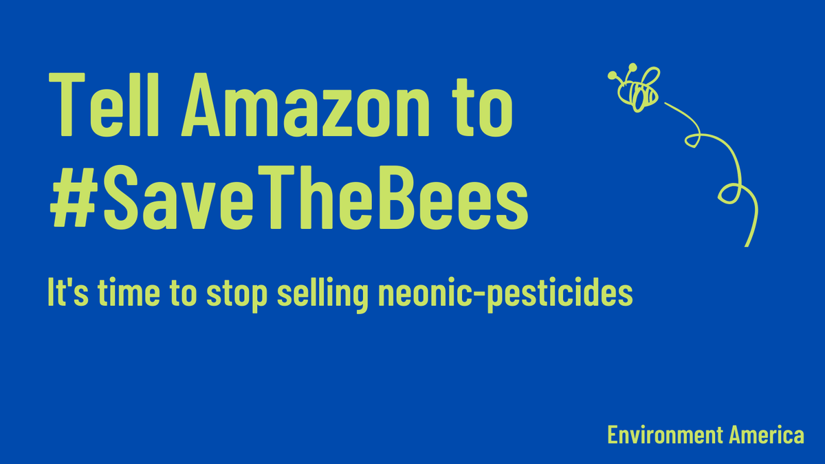 ZSzlezinger's tweet photo. This #NationalPollinatorsWeek, @amazon should stop selling neonics to #SaveTheBees https://t.co/tav7Zyk28J