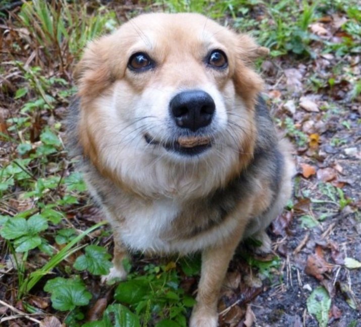 <a href="/KabosuOfficial/">Kabosu</a> What I love the most about kabosu is how committed they are to this project, in addition to the 5% for holders and 5% for liquidity, it is such an amazing project I did my best to invest a minimum amount because I am very poor
#Kabosu
#kabosuArmy
#BSC