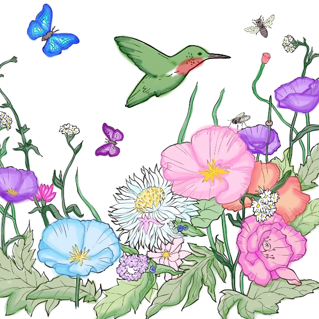 Coloring page featuring butterflies, bees and birds flying near flowers and other plants