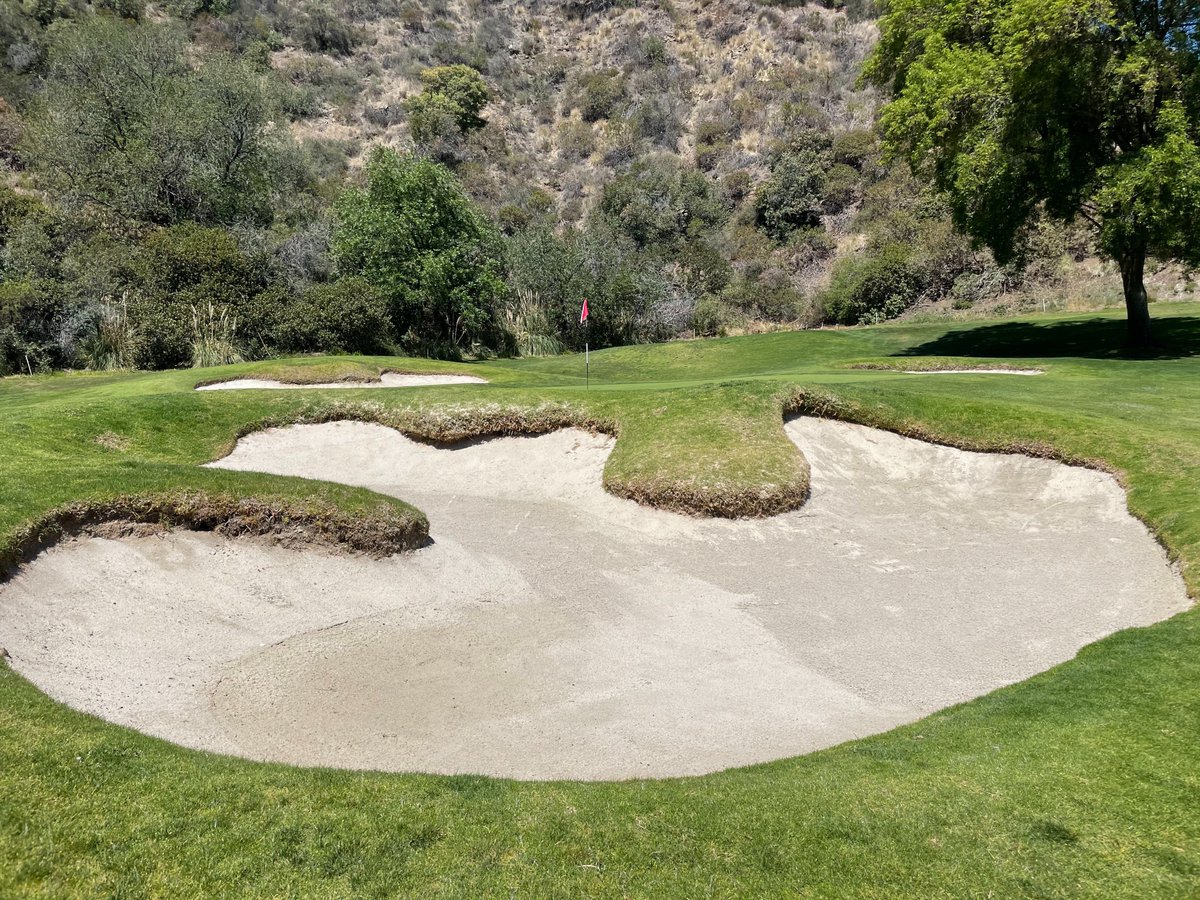 Casey O'Callaghan tweet media