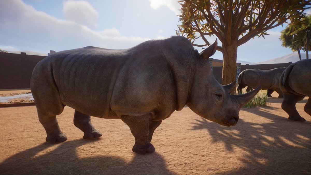 MissDiwy's tweet photo. Love the new animale 😍
#planetzoo https://t.co/LjcUXBGJ6s