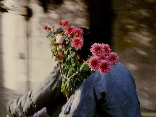 A Happy Heavenly Birthday to Abbas Kiarostami  \"I never really learned photography\". 