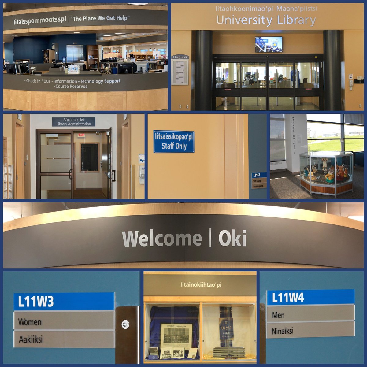 ulethlibrary's tweet photo. (1/2) The #ULethbridge Library has complimentary #Blackfoot descriptions/names for some of its spaces. These were provided by fluent Blackfoot speaker and elder Martin Heavy Head.
Details @ https://t.co/hr5cps1v7Q
#NIHM2021 #Niitsitapi #ULeth @BlackfootDigLib https://t.co/CHDVAleGhD