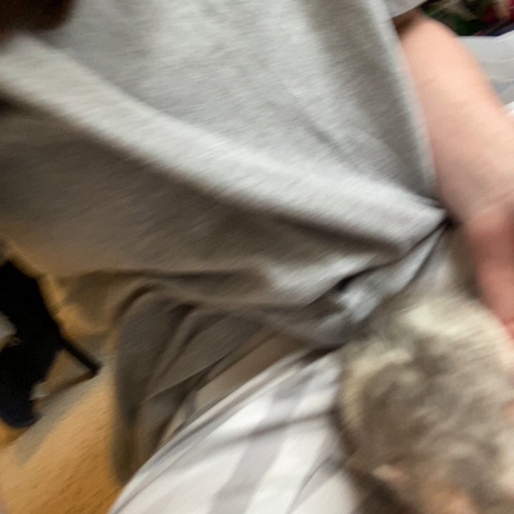 RatCamOfficial's tweet photo. RatCam Update:

Carly is feeding rats. https://t.co/K290MzHpuJ